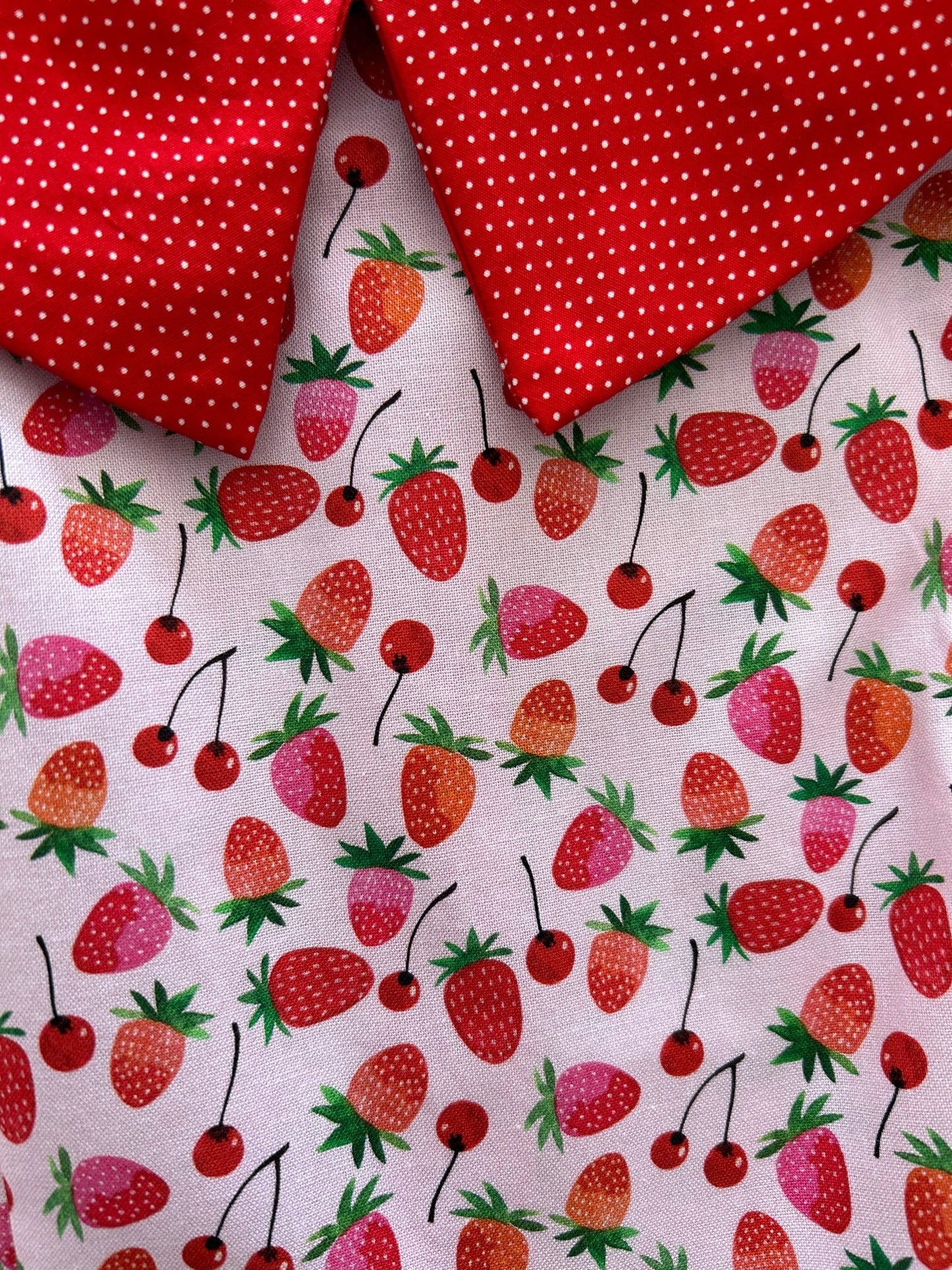 Berry Cherry Collared Dress - Medium only