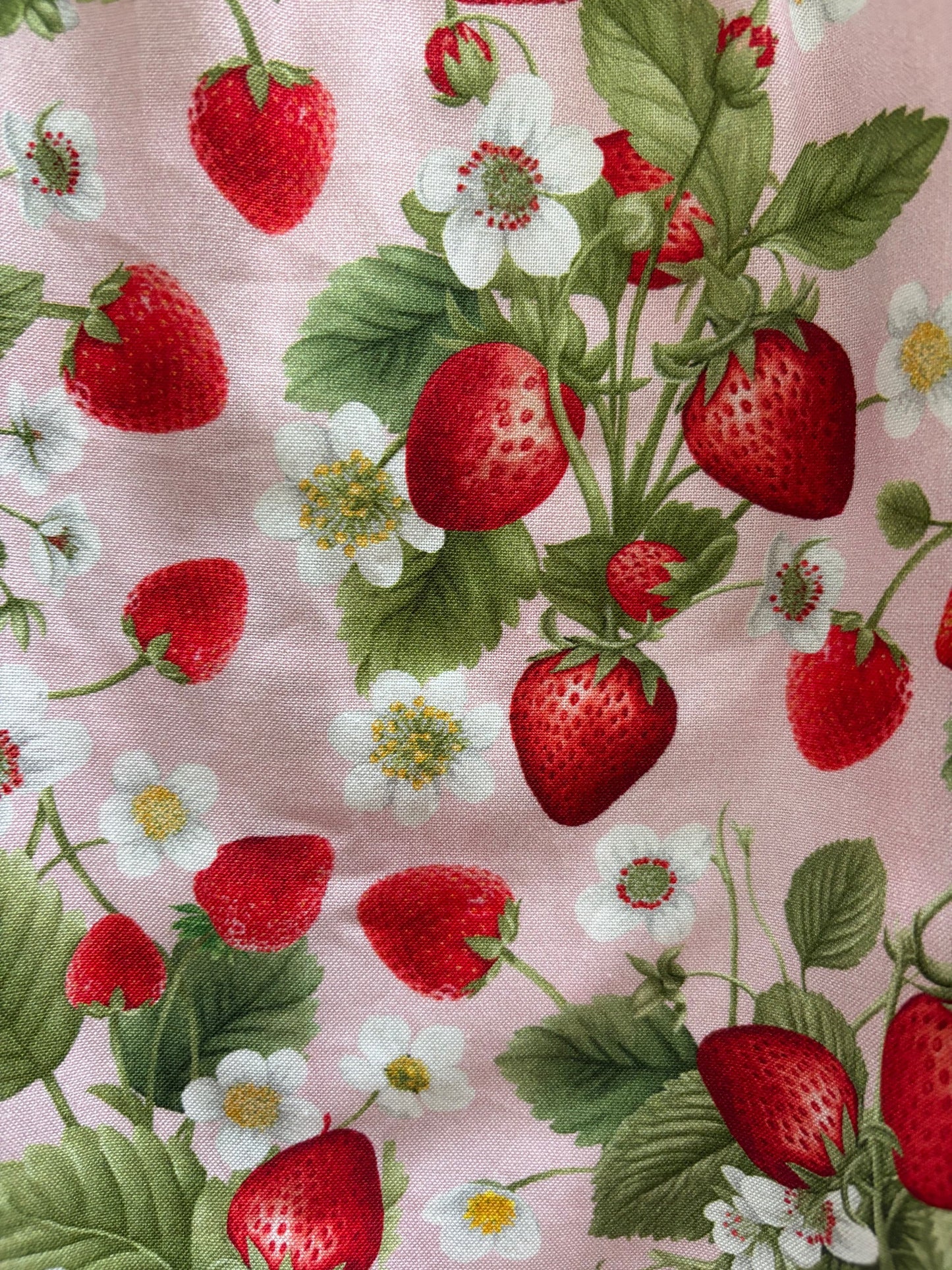 Strawberry Collared Dress